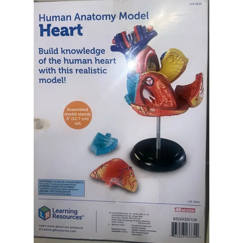 HUMAN HEART MODEL by Learning Resources Anatomy Cardiac 29 pieces STEM